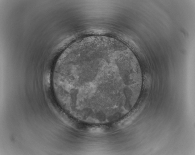 X0000111010358200907171839