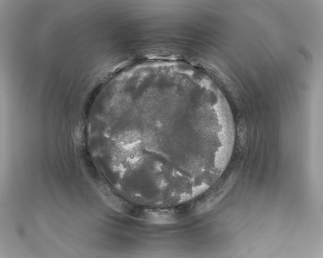 X0000111010359200907171839