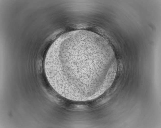 X0000111010360200907171839