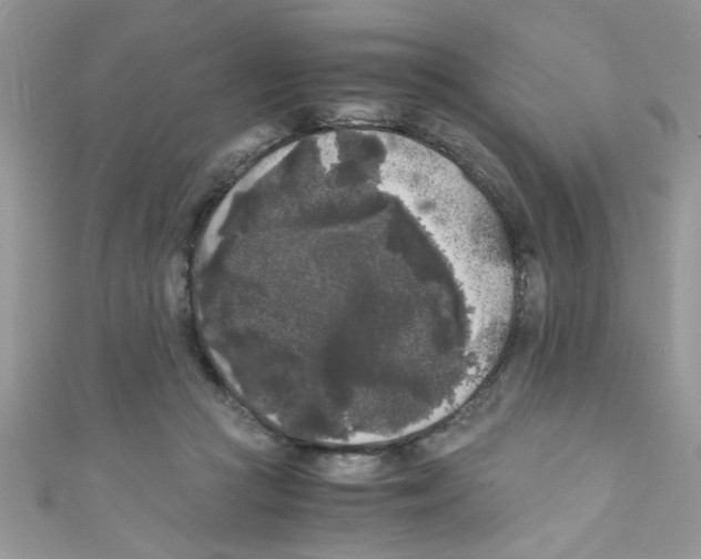X0000111010361200907171839