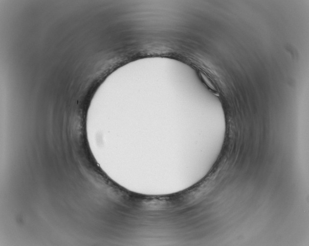 X0000111010362200907171839
