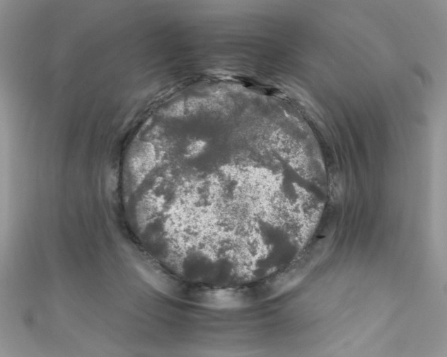 X0000111010365200907171839