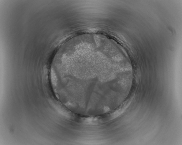 X0000111010366200907171839