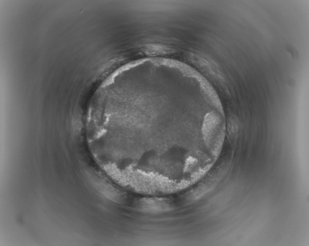 X0000111010367200907171839