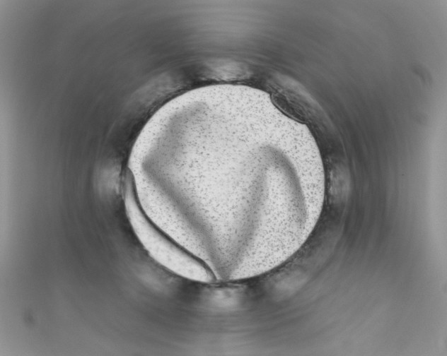 X0000111010368200907171839