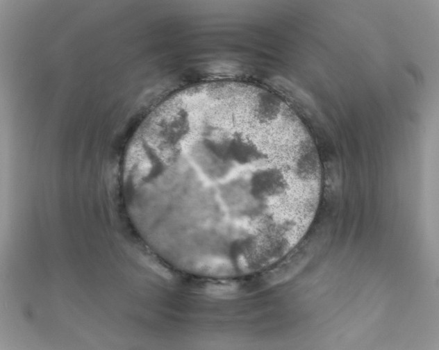 X0000111010369200907171839