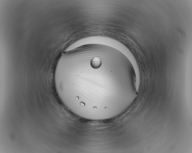 X0000111010372200907171839