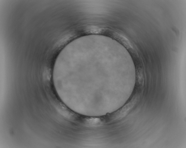 X0000111010374200907171839