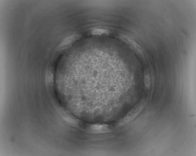 X0000111010375200907171839