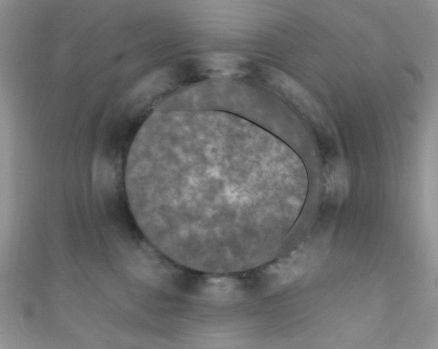 X0000111010376200907171839