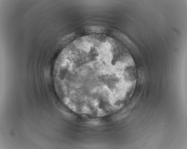 X0000111010377200907171839
