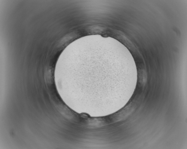 X0000111010378200907171839