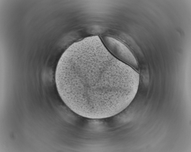 X0000111010380200907171839
