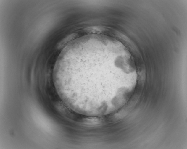 X0000111010381200907171839