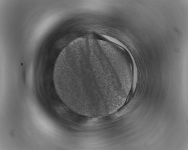 X0000111010382200907171839