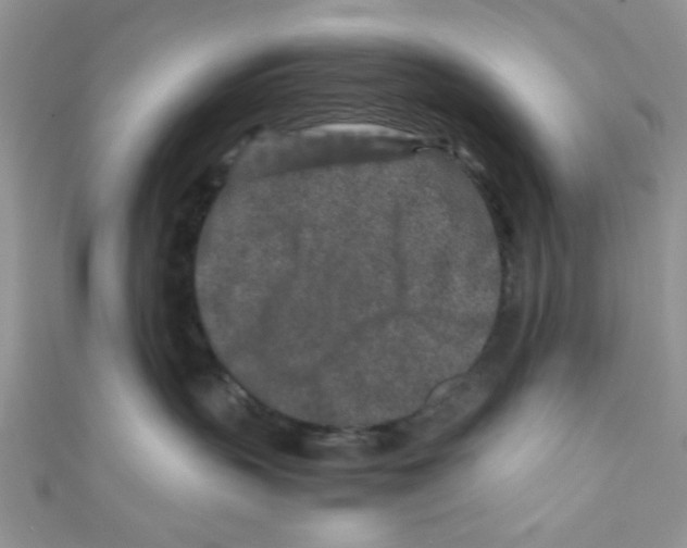 X0000111010383200907171839