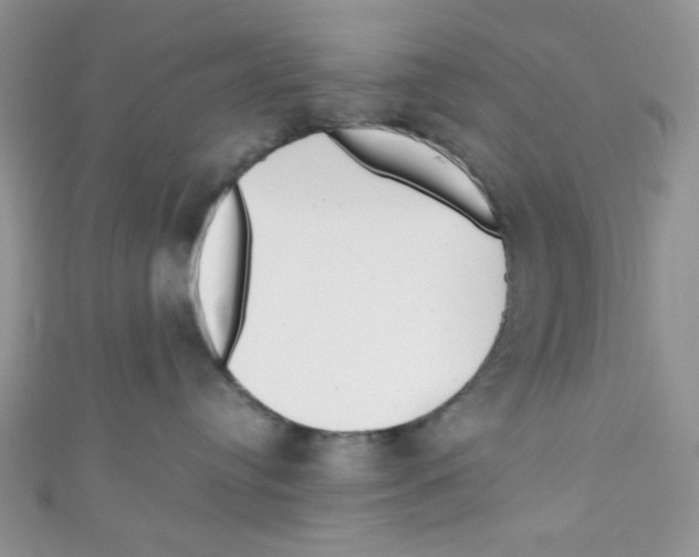 X0000111010384200907171839