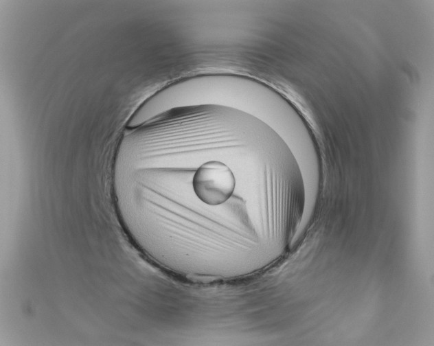X0000111010385200907171839