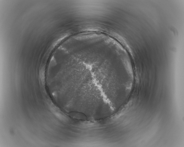 X0000111010386200907171839