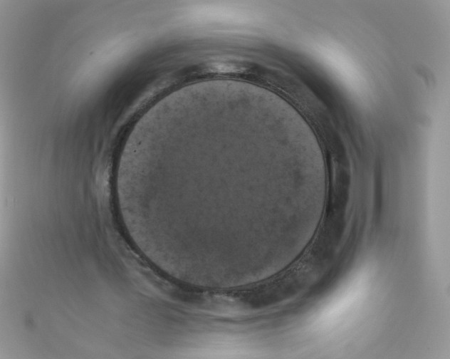 X0000111010387200907171839