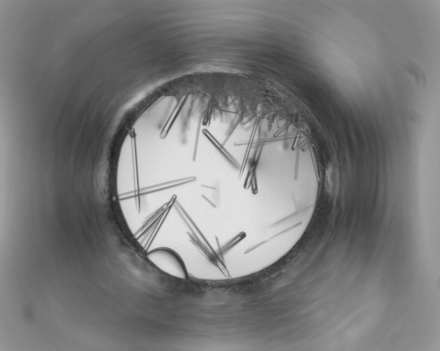 X0000111010388200907171839