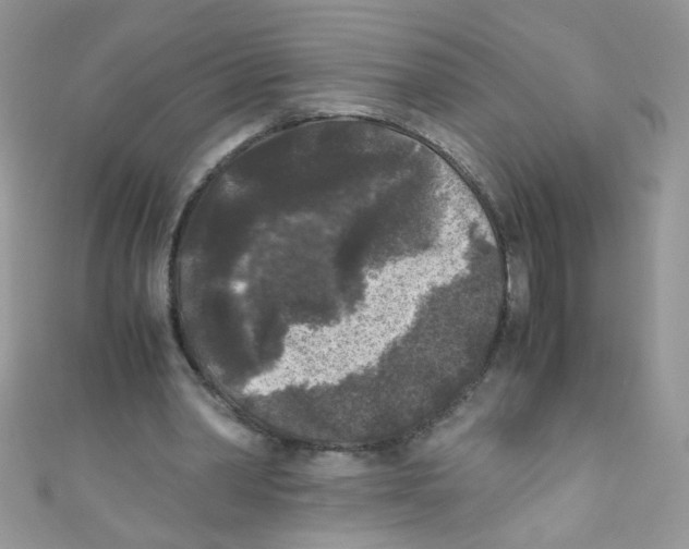 X0000111010390200907171839