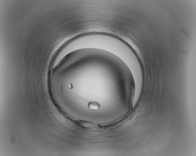 X0000111010391200907171839