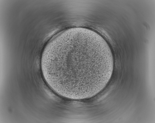 X0000111010393200907171839