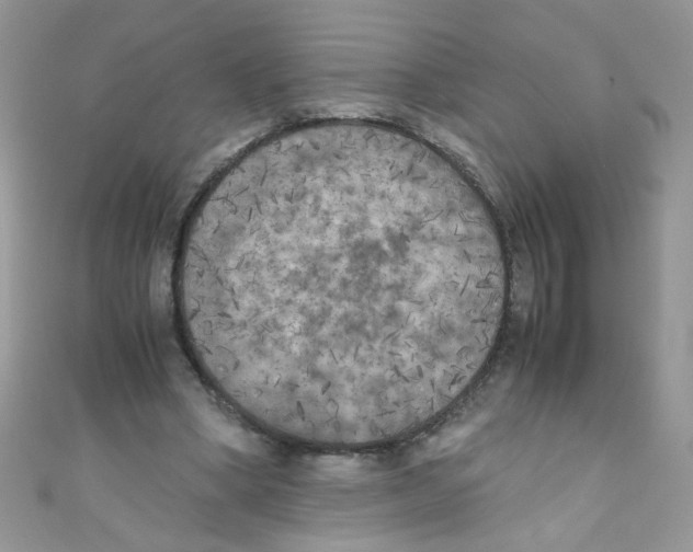 X0000111010394200907171839