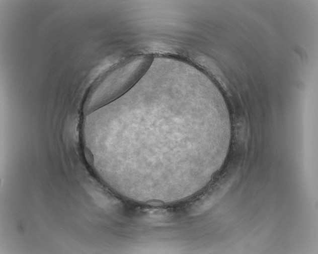 X0000111010395200907171839