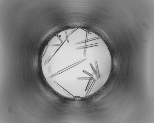 X0000111010396200907171839