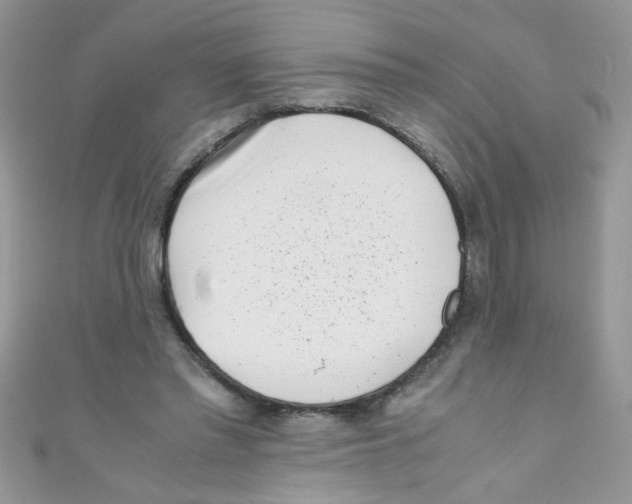 X0000111010397200907171839