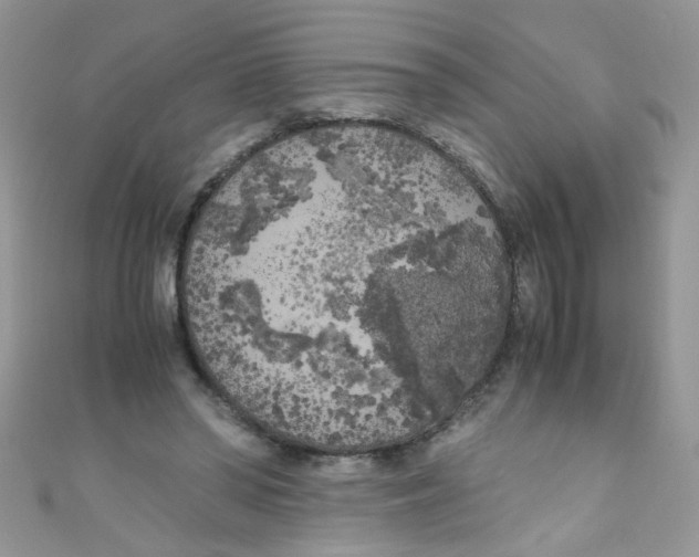 X0000111010398200907171839