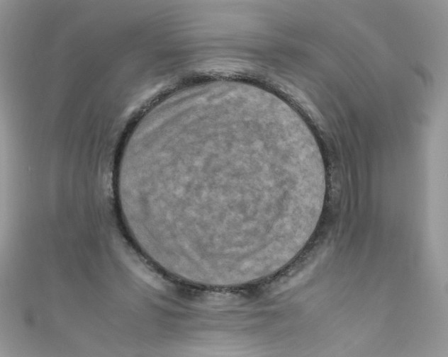 X0000111010399200907171839