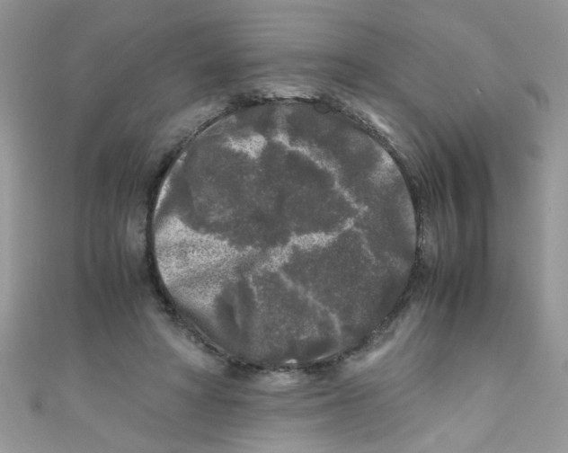 X0000111010402200907171839