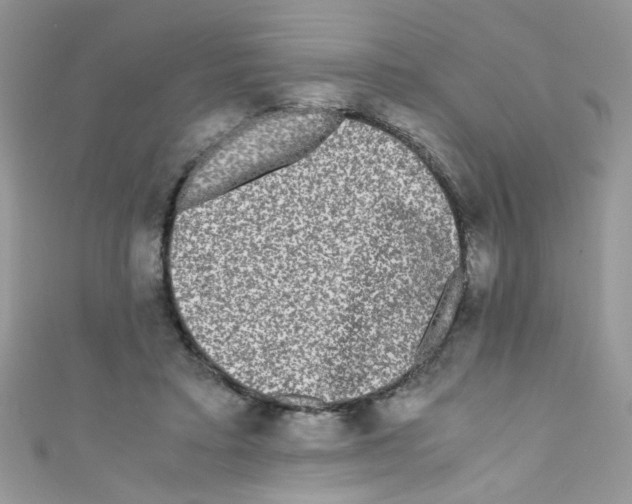 X0000111010403200907171839