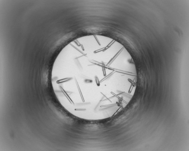 X0000111010404200907171839