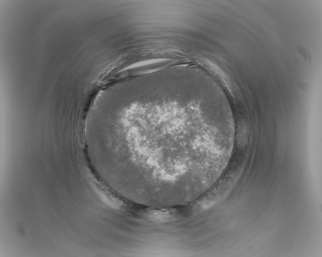 X0000111010405200907171839