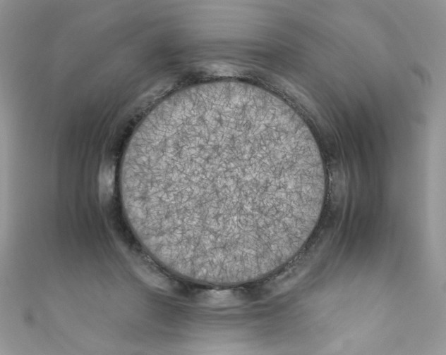 X0000111010406200907171839