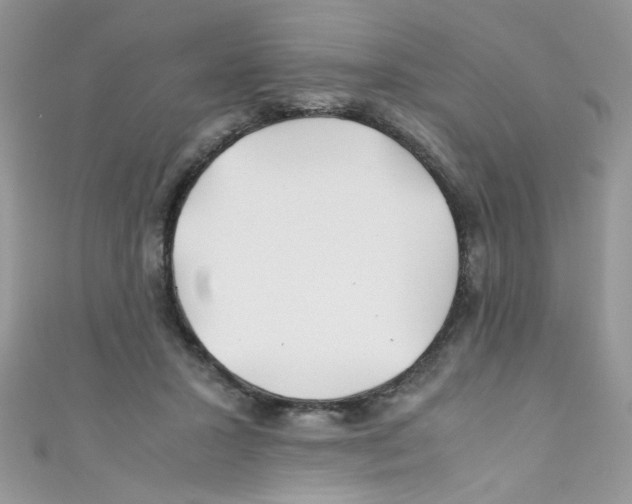 X0000111010407200907171839