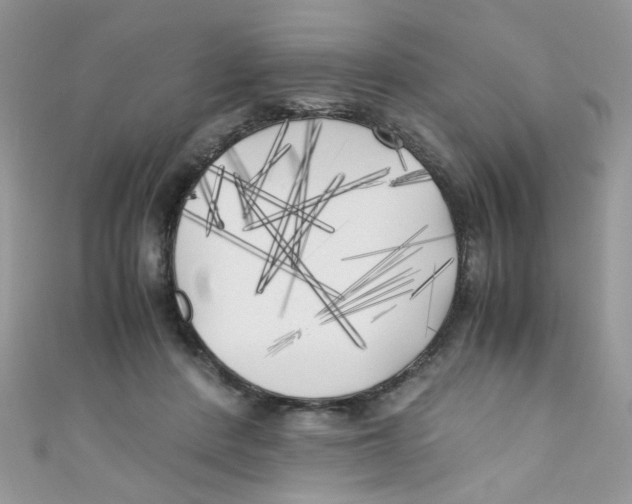 X0000111010408200907171839