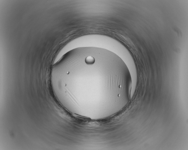 X0000111010409200907171839
