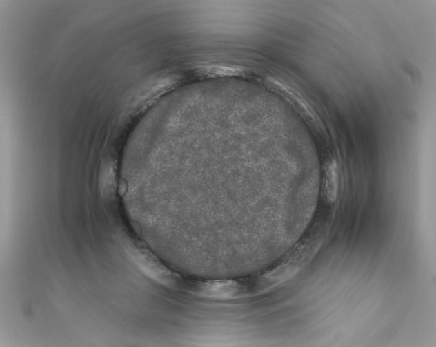 X0000111010410200907171839