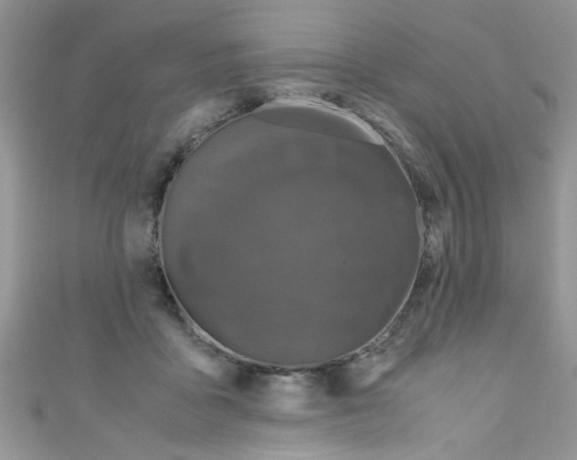 X0000111010411200907171839