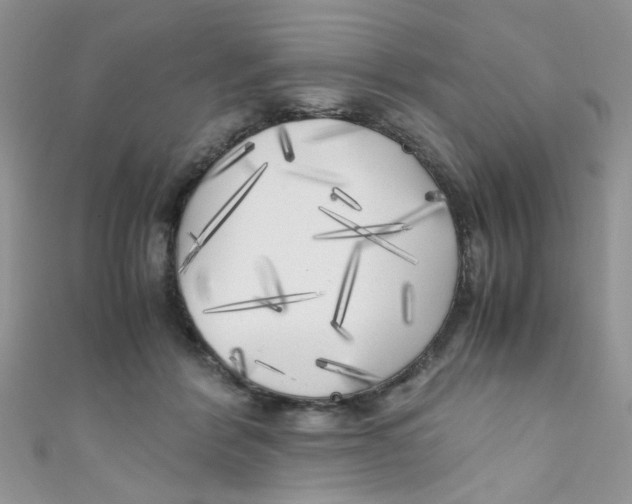 X0000111010412200907171839