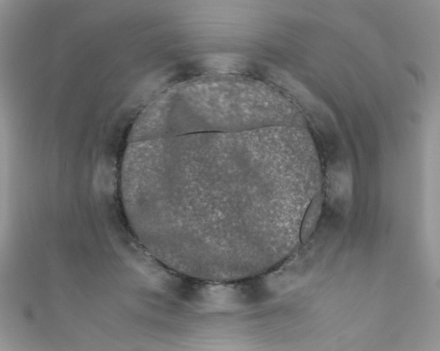 X0000111010413200907171839