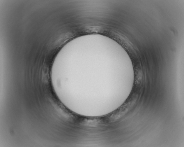 X0000111010414200907171838