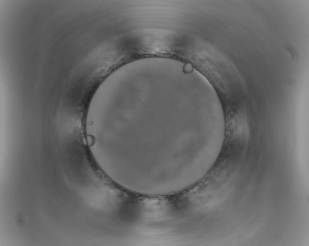 X0000111010415200907171838
