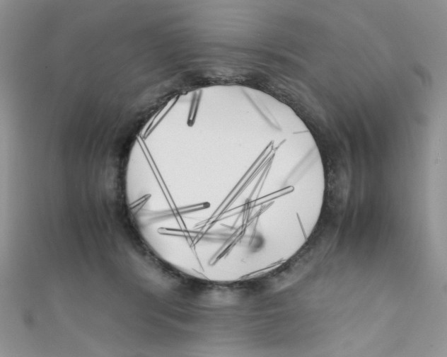 X0000111010416200907171838