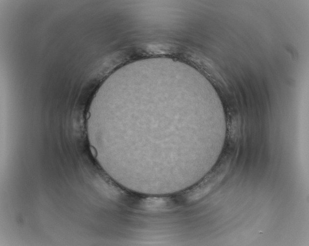 X0000111010418200907171838